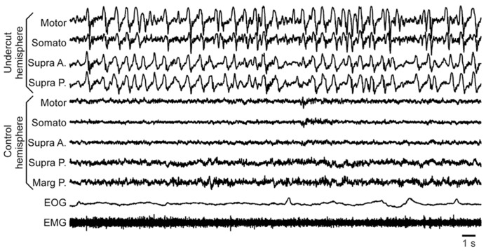 FIGURE5