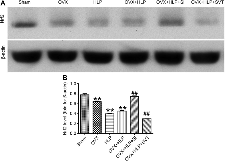 Figure 6