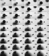 Fig. 8