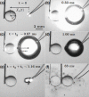 Fig. 11