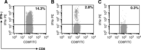 FIG. 3.