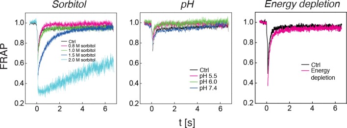 Figure 5—figure supplement 5.