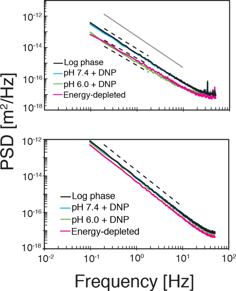 Figure 4—figure supplement 1.