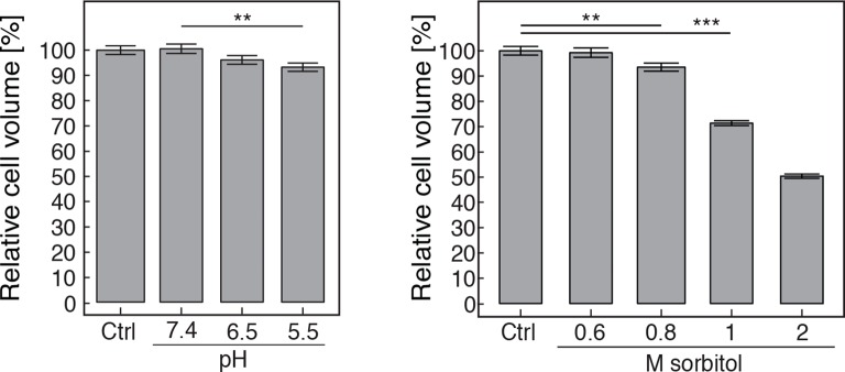 Figure 5—figure supplement 3.