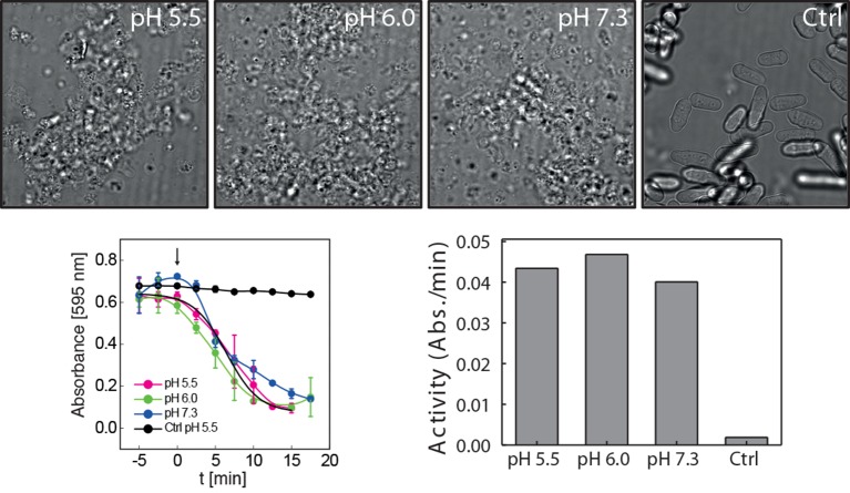 Figure 5—figure supplement 7.