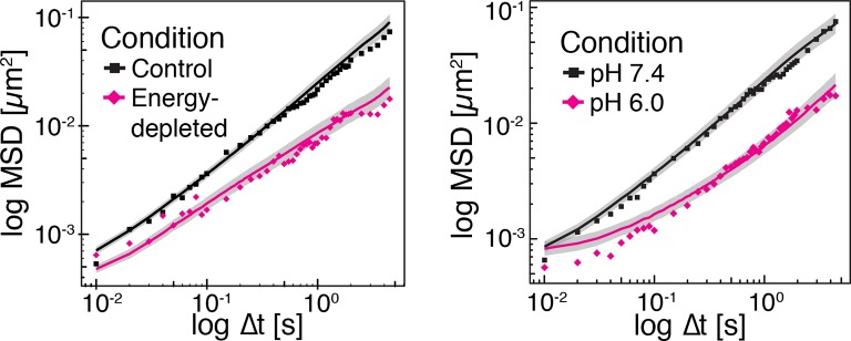 Figure 4—figure supplement 6.