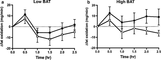 Fig. 6