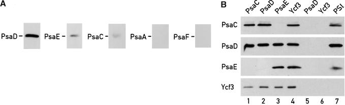 Figure 10.