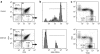 <b>Figure 2</b>