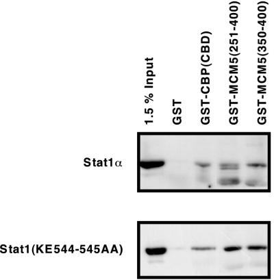 FIG. 7