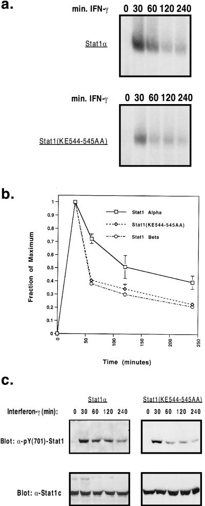 FIG. 5