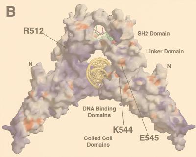 FIG. 8