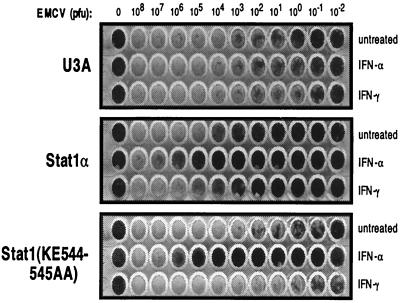 FIG. 6