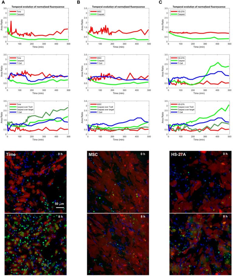 Figure 4