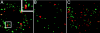 FIG. 4.