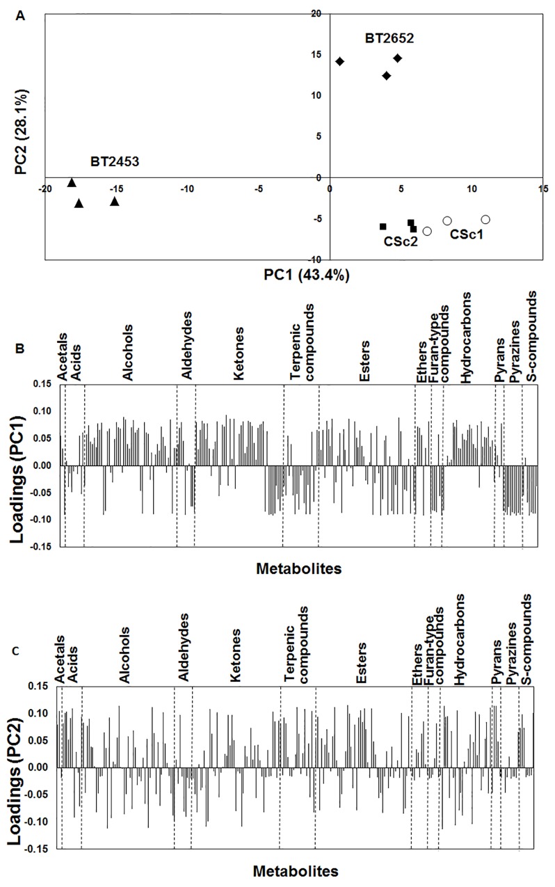 Fig 5