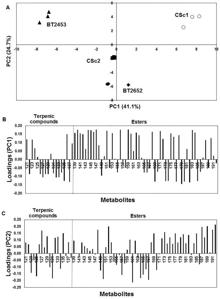 Fig 6