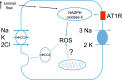Fig. 2.