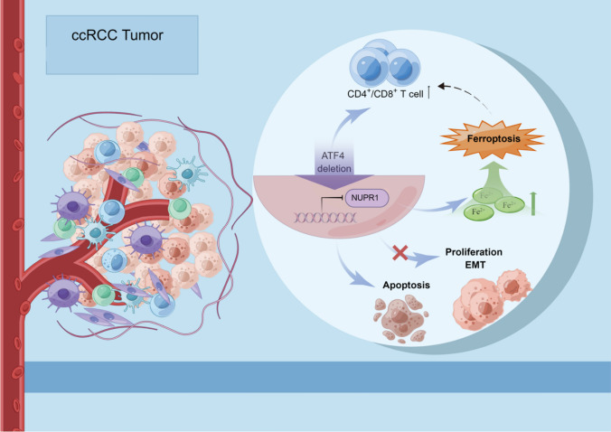 graphic file with name 12672_2024_1485_Figa_HTML.jpg