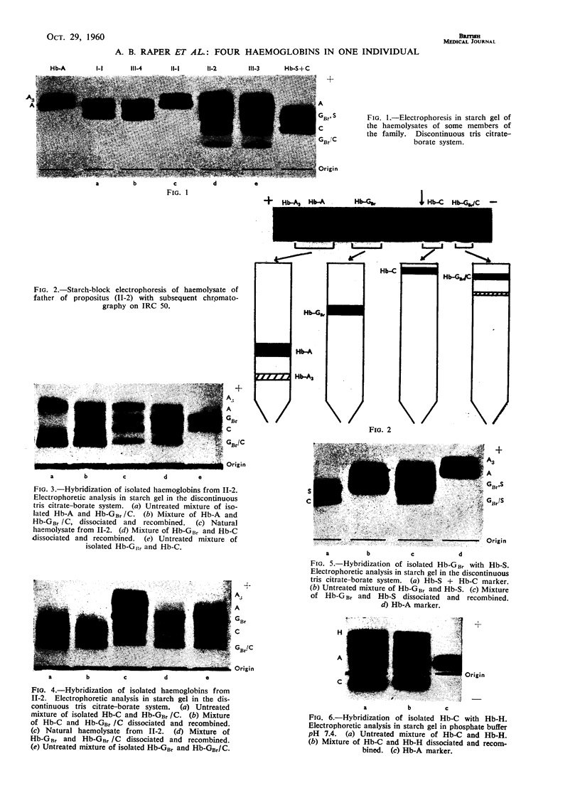 1260-2