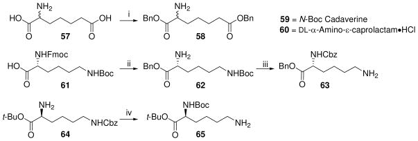 Scheme 6