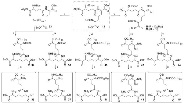 Scheme 3