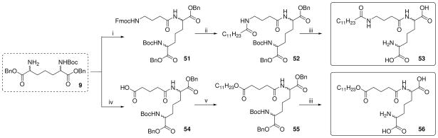 Scheme 5