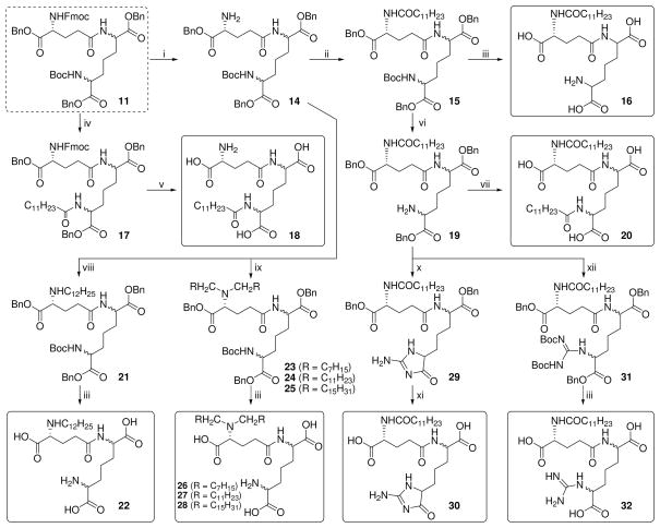 Scheme 2