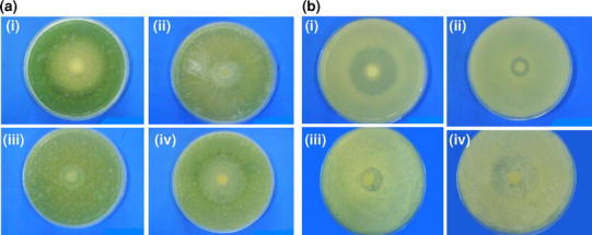 Fig. 9