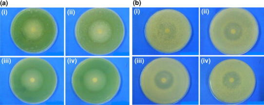 Fig. 10