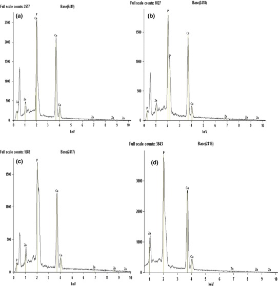 Fig. 3