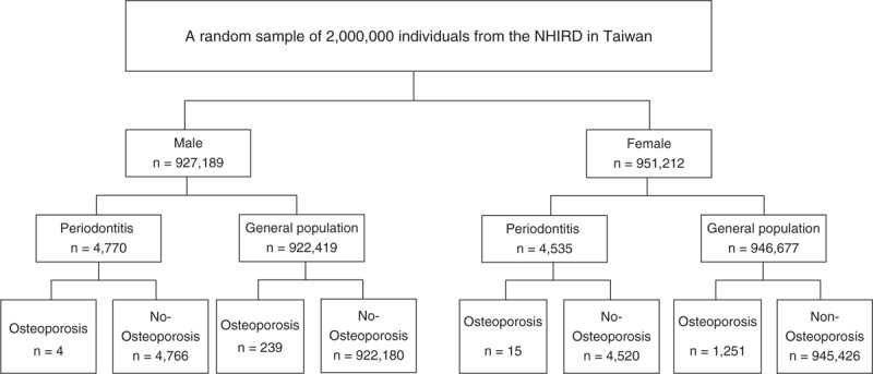 FIGURE 1