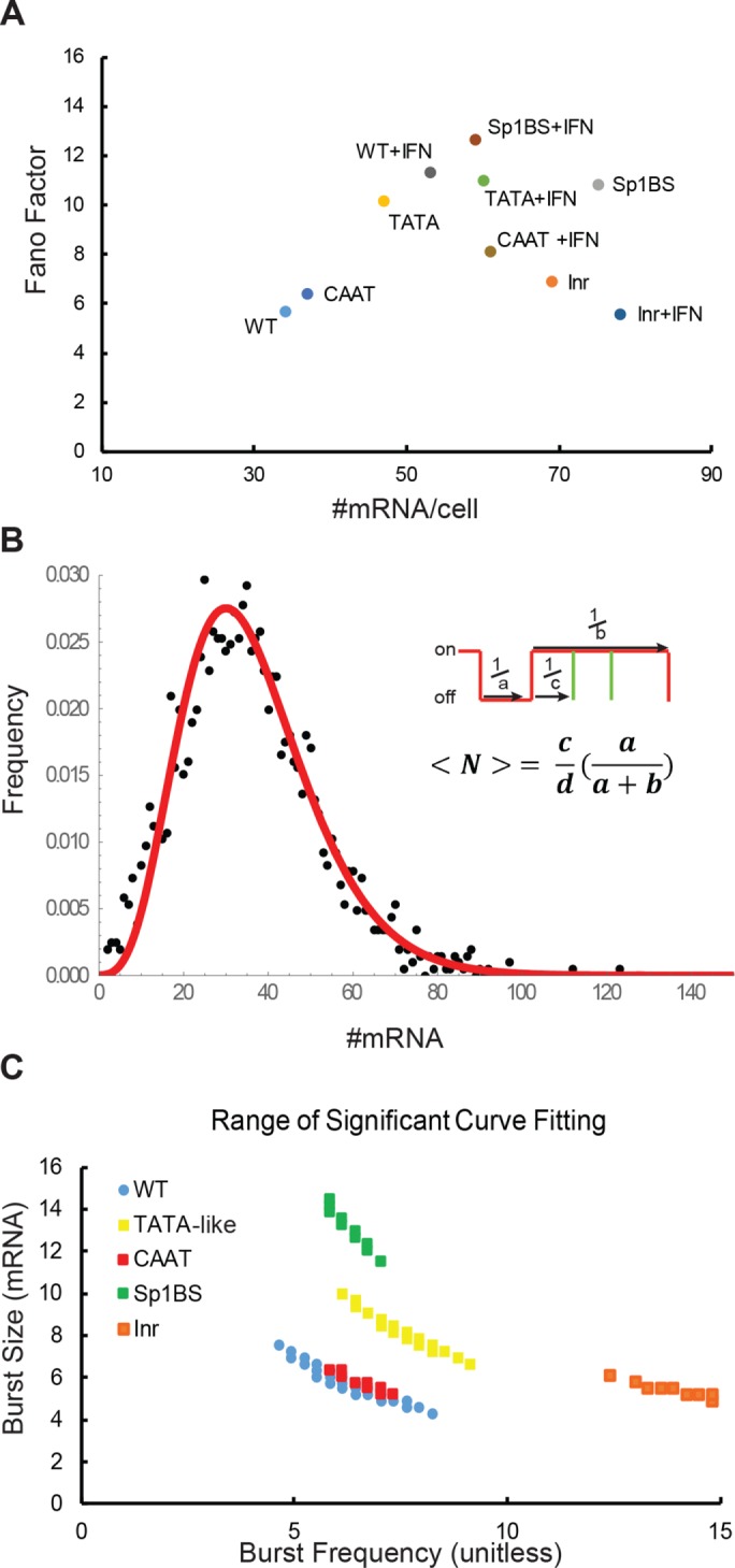 FIGURE 3: