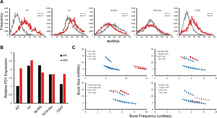 FIGURE 4: