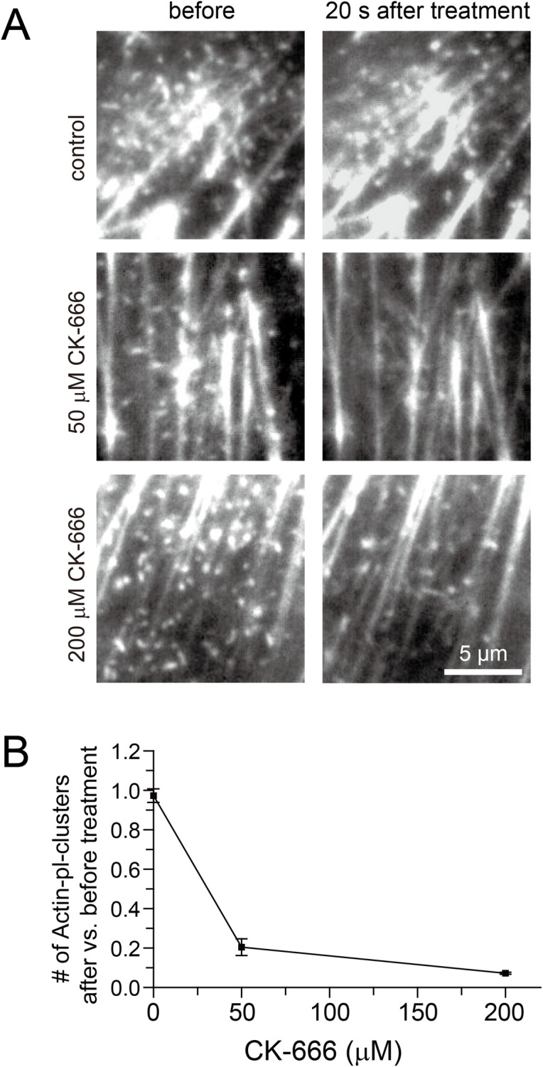 Fig 12