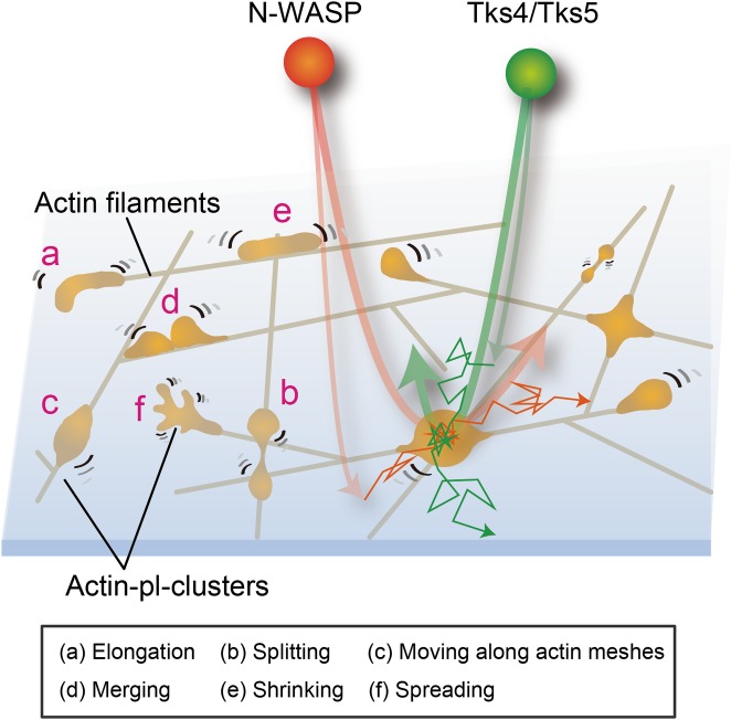 Fig 13