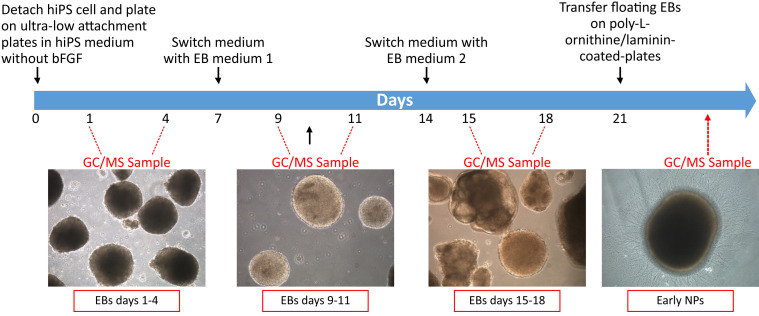 Figure 4.