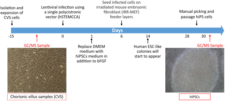 Figure 3.