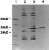 FIG. 8