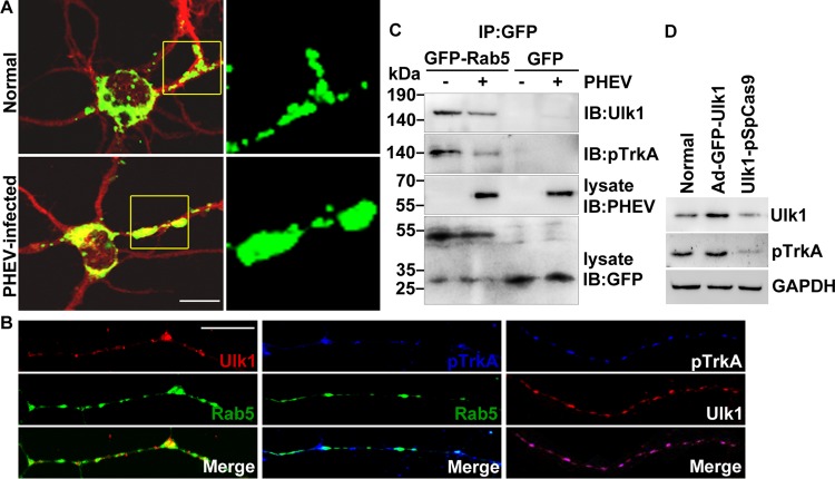 FIG 6