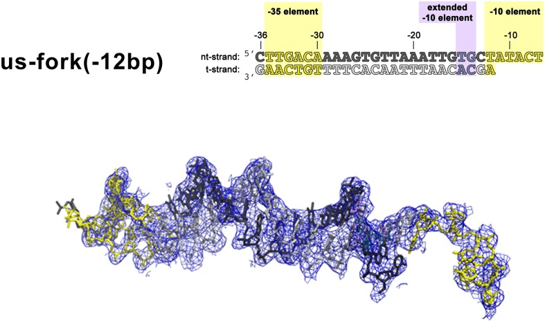 Figure 1—figure supplement 1.