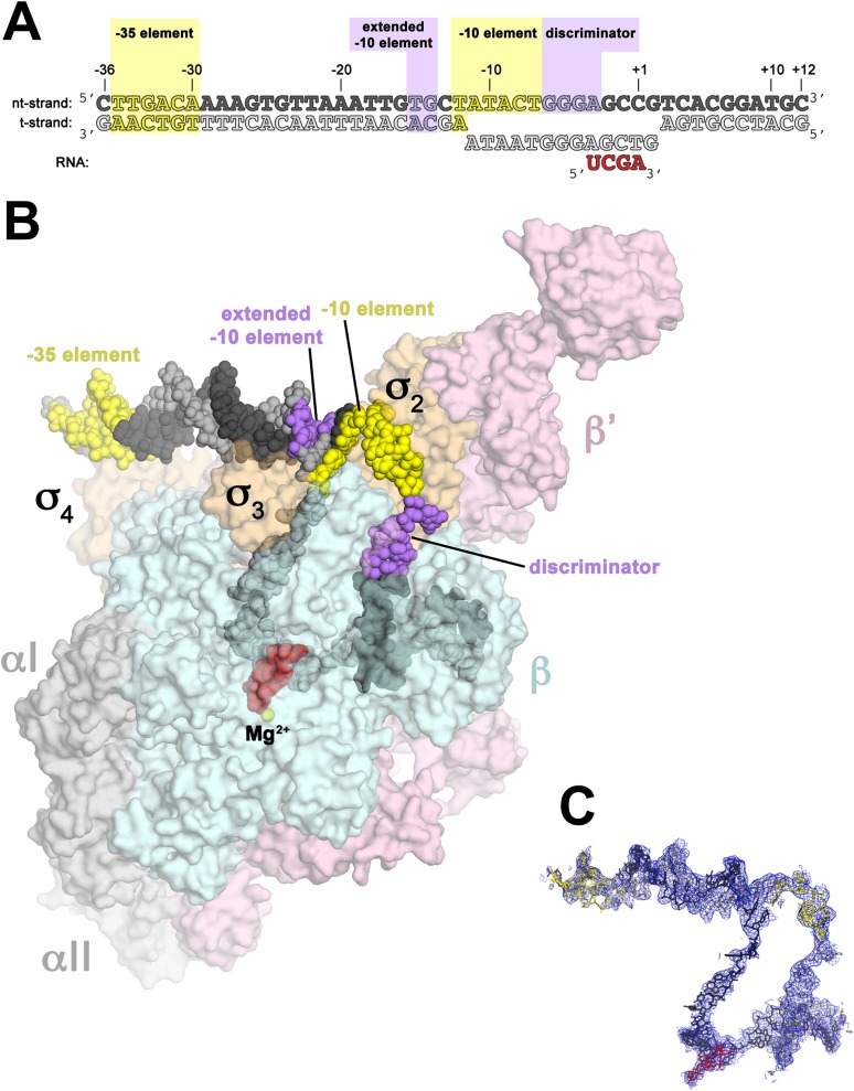 Figure 1.