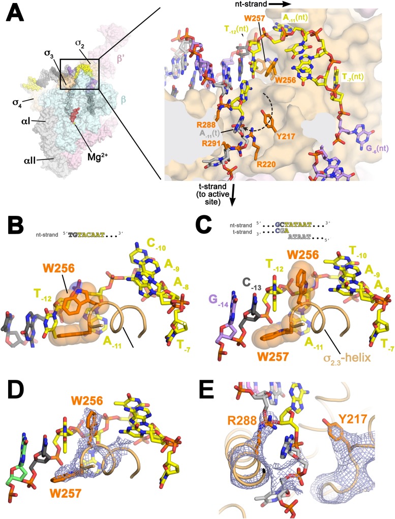 Figure 3.