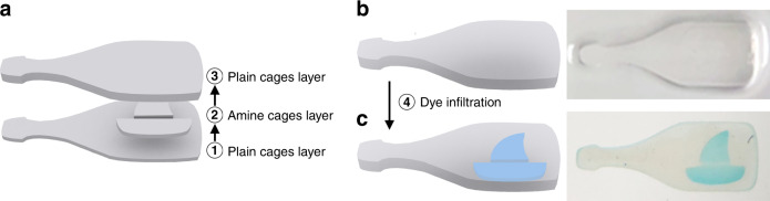 Fig. 5