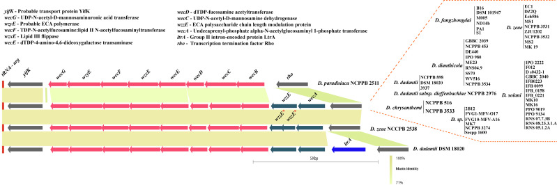 Fig 5