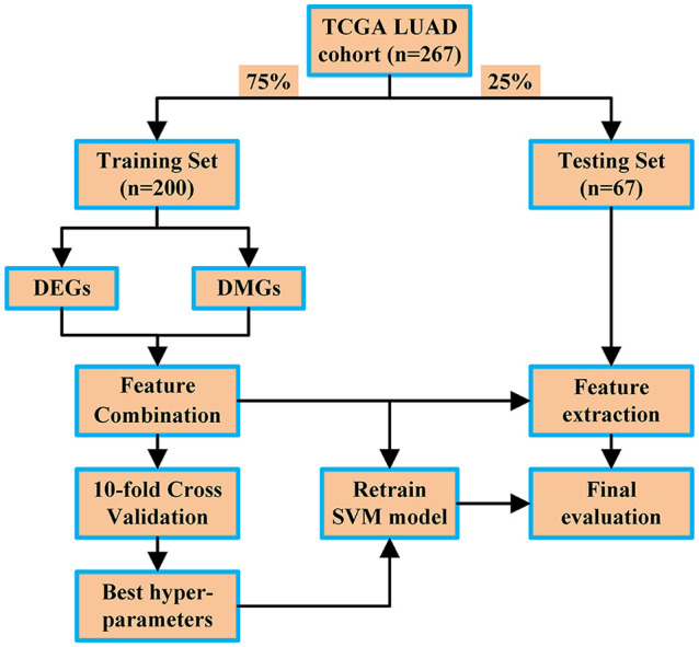 Figure 1.