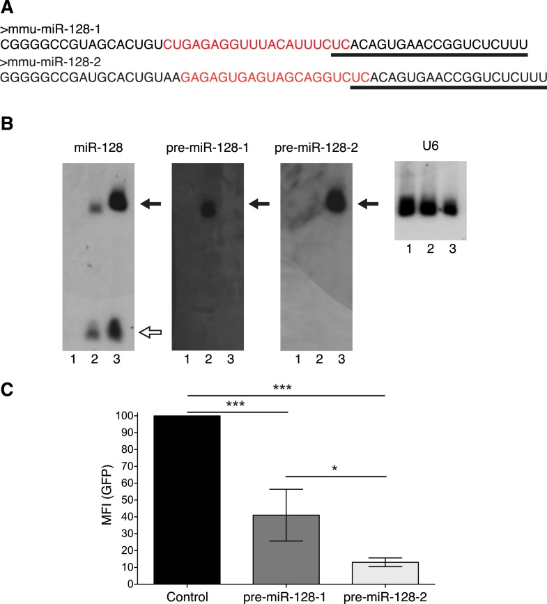 Figure 1—figure supplement 1.