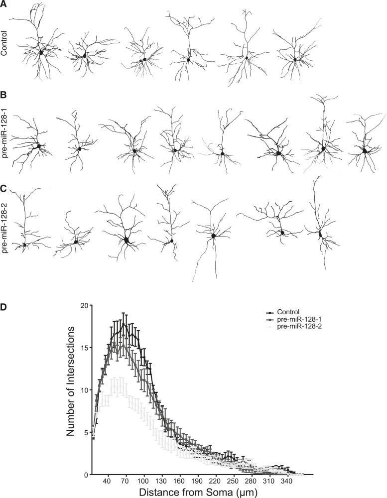 Figure 7—figure supplement 2.