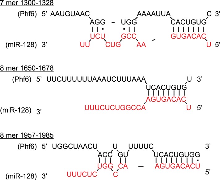 Figure 5—figure supplement 2.