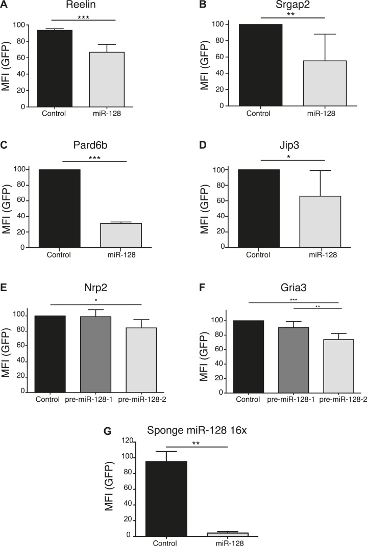 Figure 5—figure supplement 1.